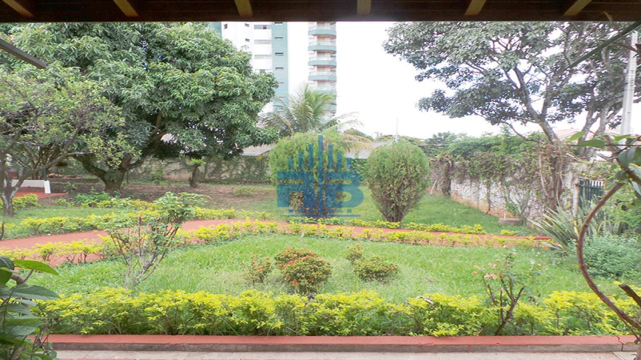 Imagem 3
