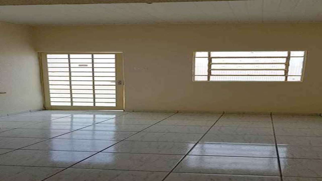 Imagem 11