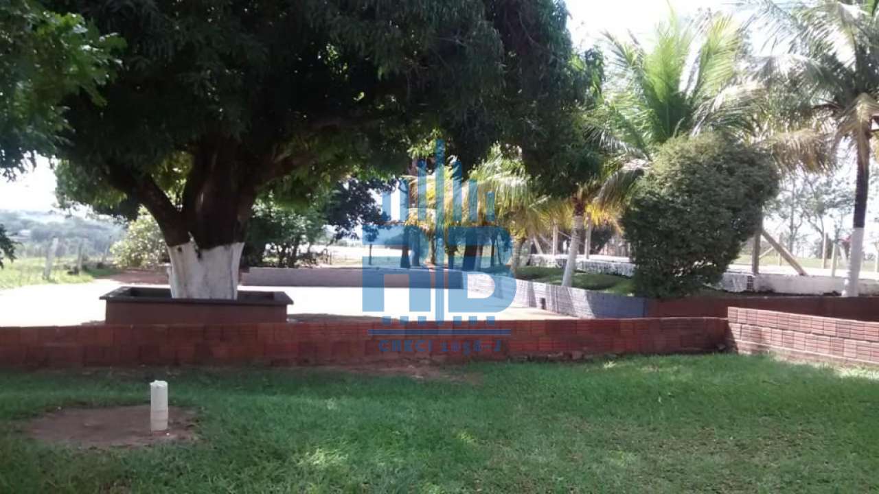 Imagem 6