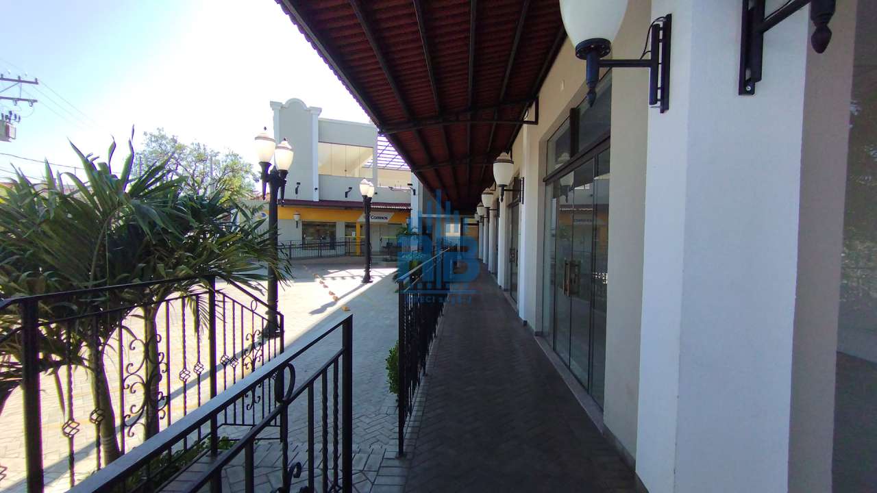 Imagem 11