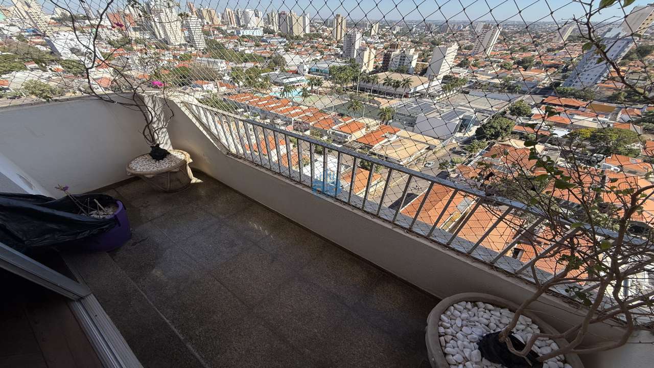 Imagem 3